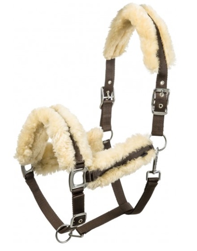 Licol mouton